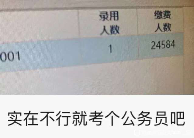 公务员与央国企